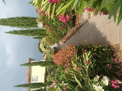 Villa Manuela Altopascio Extérieur photo